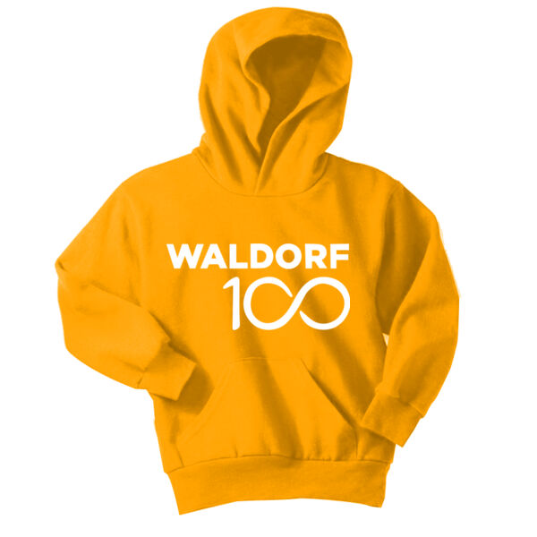 AWSNA - Youth Pullover Hooded Sweatshirt Thumbnail